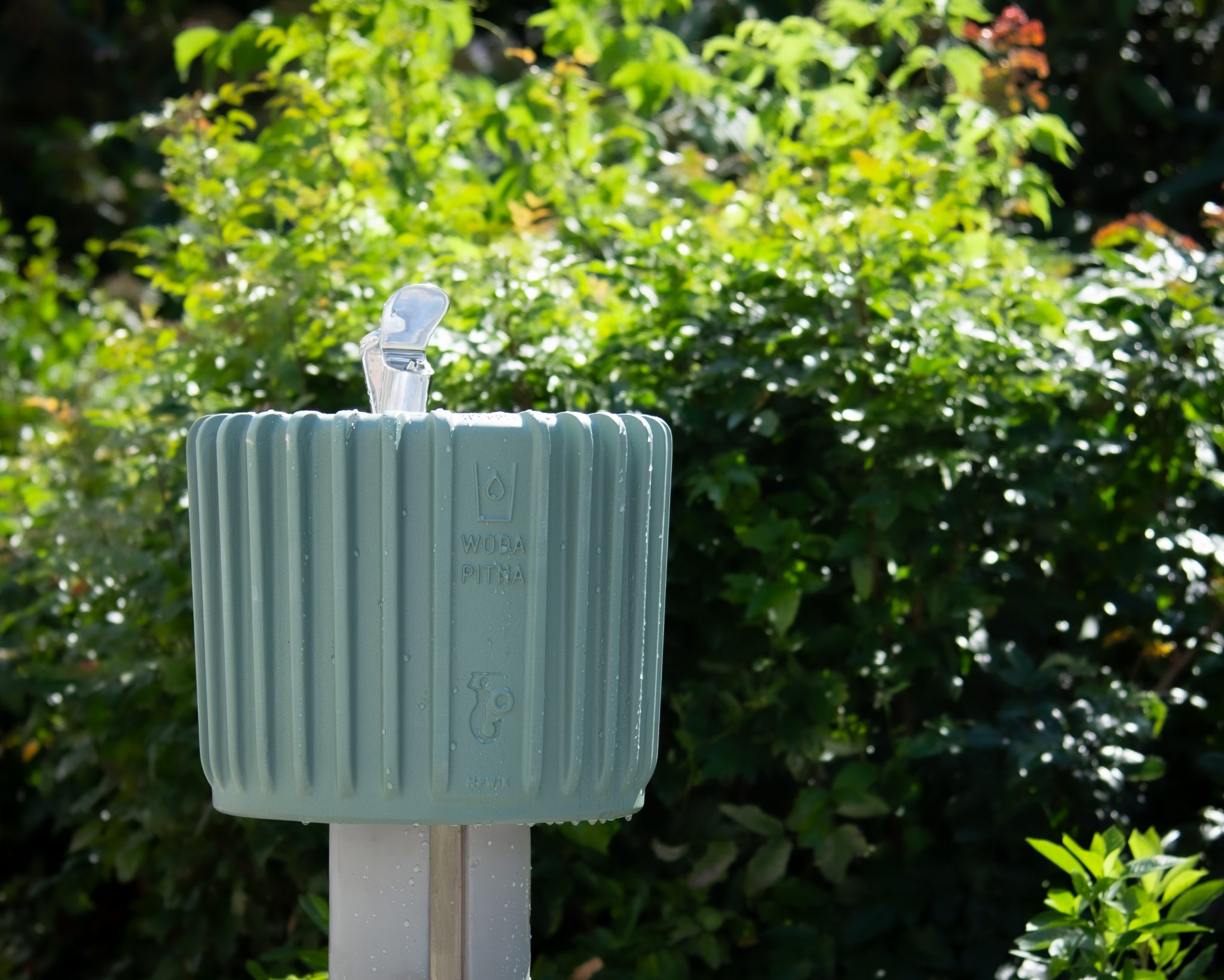 Zdjęcie poidełka na tle zieleni w słoneczny dzień. 